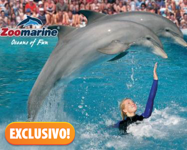Zoomarine - Um Mundo Aquático | 1 a 4 Pessoas