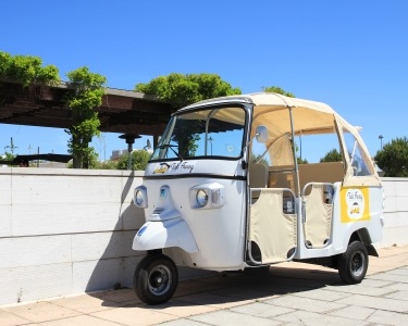De Tuk Tuk pelos Miradouros | Até 3 Pessoas | Lisboa De Tuk Tuk pelos Miradouros | Até 3 Pessoas | Lisboa